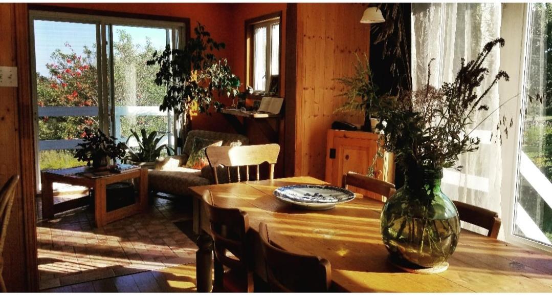 Gite Aux Jardins De L'Anse 佩尔塞 外观 照片