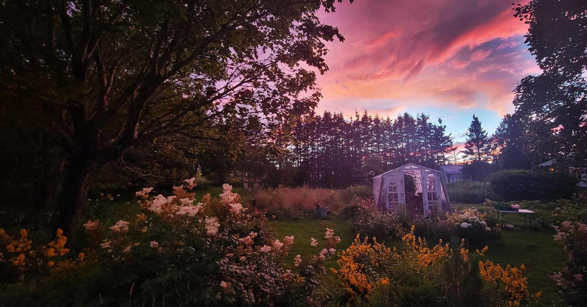 Gite Aux Jardins De L'Anse 佩尔塞 外观 照片