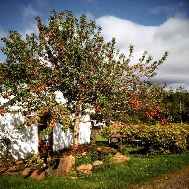 Gite Aux Jardins De L'Anse 佩尔塞 外观 照片