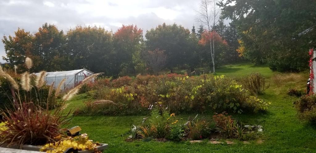 Gite Aux Jardins De L'Anse 佩尔塞 外观 照片