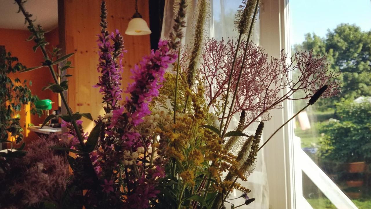 Gite Aux Jardins De L'Anse 佩尔塞 外观 照片
